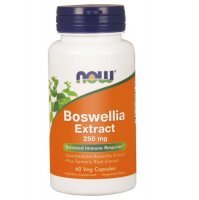 NOW FOODS Boswellia extract 250 mg 60 kapsułek