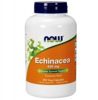 NOW FOODS Echinacea 400 mg 250 kapsułek