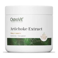 OstroVit Artichoke Extract, 100 g