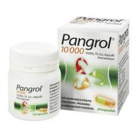 Pangrol 10 000, 20 kapsułek