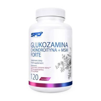 SFD Glukozamina Chondroityna MSM Forte, 120 kaps.