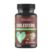 Skoczylas Cholesterol, 60 kaps.