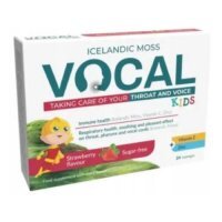 VOCAL KIDS truskawka Pastylki miękkie do ssania, 24szt.