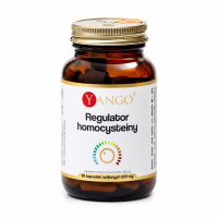 Yango Regulator homocysteiny, 90 kaps.