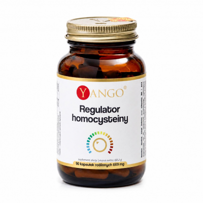 Yango Regulator homocysteiny, 90 kaps.